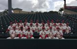 Cardinals Fantasy Camp