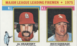 Baseball Card – 1975 Fireman of the Year
